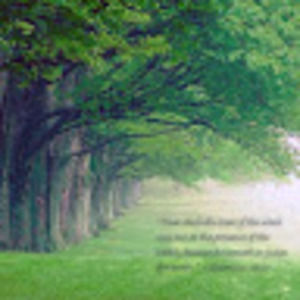 Meet your Posher, Gl